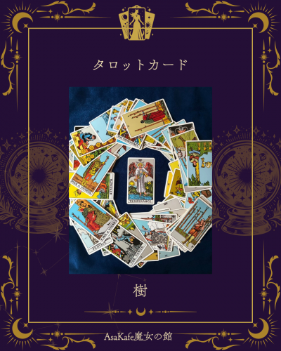 魔女紹介トレカ (6)